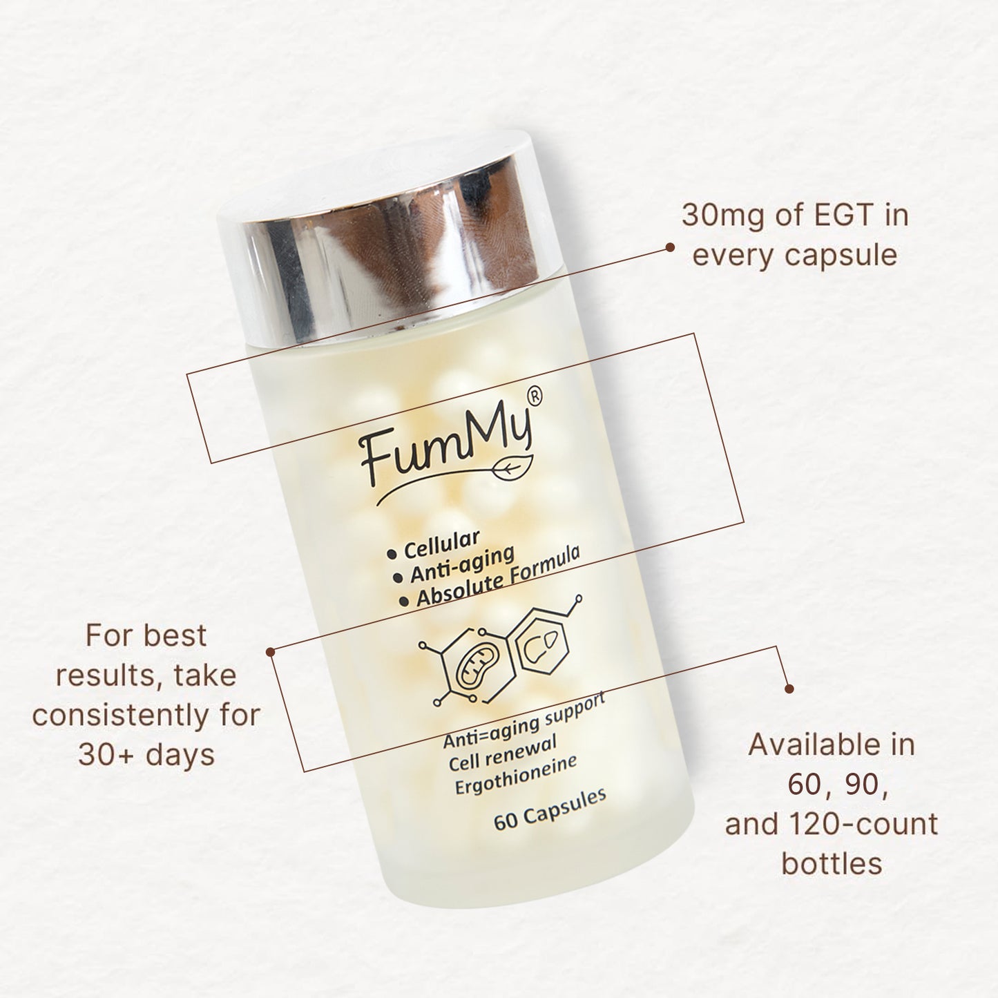 Fummy L-Ergothioneine 60 capsules per bottle Cellulare Anti-aginge Absolute Formula Anti-aging support Cell renewal, Ergothioneine Heart Health & Brain Supplement Lab Tested Made in USA 0.5mg/cps. (120 pcs)